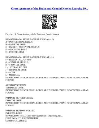 Gross Anatomy of the Brain and Cranial Nerves Exercise 19...
Exercise 19: Gross Anatomy of the Brain and Cranial Nerves
HUMAN BRAIN– RIGHT LATERAL VIEW –(A – E)
A = POSTCENTRAL GYRUS
B = PARIETAL LOBE
C = PARIETO–OCCIPITAL SULCUS
D = OCCIPITAL LOBE
E = CEREBELLUM
HUMAN BRAIN– RIGHT LATERAL VIEW –(F – L)
F = PRECENTRAL GYRUS
G = CENTRAL SULCUS
H = FRONTAL LOBE
I = LATERAL SULCUS
J = TEMPORAL LOBE
K = PONS
L = MEDULLA
IN WHICH OF THE CEREBRAL LOBES ARE THE FOLLOWING FUNCTIONAL AREAS
FOUND?
AUDITORY CORTEX
TEMPORAL LOBE
IN WHICH OF THE CEREBRAL LOBES ARE THE FOLLOWING FUNCTIONAL AREAS
FOUND?
PRIMARY MOTOR CORTEX
FRONTAL LOBE
IN WHICH OF THE CEREBRAL LOBES ARE THE FOLLOWING FUNCTIONAL AREAS
FOUND?
PRIMARY SENSORY CORTEX
PARIETAL LOBE
IN WHICH OF THE ... Show more content on Helpwriting.net ...
FIRST, NAME THE COMMISSURE.
CORPUS CALLOSUM
 