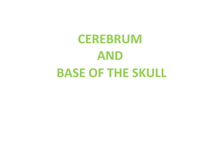 CEREBRUM
AND
BASE OF THE SKULL
 