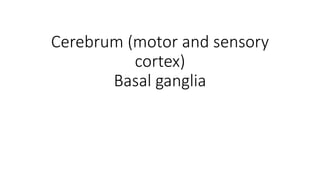 Cerebrum (motor and sensory
cortex)
Basal ganglia
 