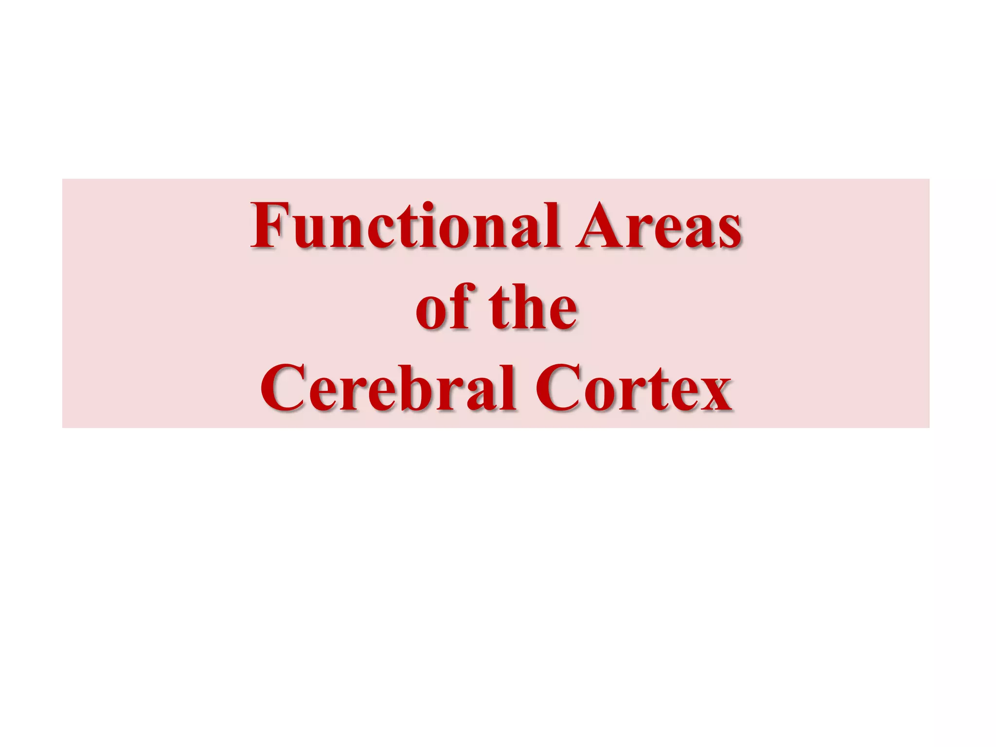 Functional Areas
of the
Cerebral Cortex
 
