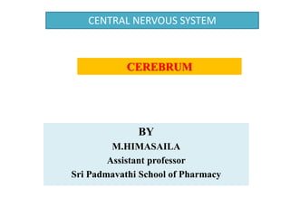 CEREBRUM
BY
M.HIMASAILA
Assistant professor
Sri Padmavathi School of Pharmacy
CENTRAL NERVOUS SYSTEM
 