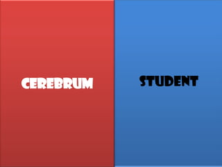CEREBRUM   Student
 