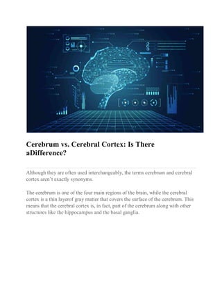 Cerebrum vs. Cerebral Cortex: Is There
aDifference?
Although they are often used interchangeably, the terms cerebrum and cerebral
cortex aren’t exactly synonyms.
The cerebrum is one of the four main regions of the brain, while the cerebral
cortex is a thin layerof gray matter that covers the surface of the cerebrum. This
means that the cerebral cortex is, in fact, part of the cerebrum along with other
structures like the hippocampus and the basal ganglia.
 