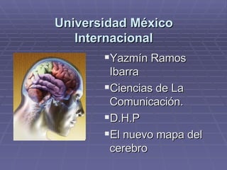 Universidad México Internacional ,[object Object],[object Object],[object Object],[object Object]