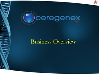 Business Overview
 