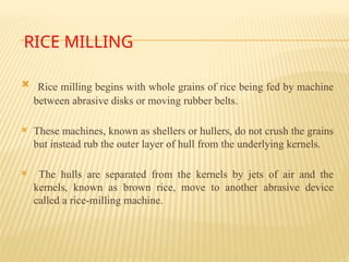 cerel pulses and oil seeds.pptxWQQQQEEWWE | PPTX