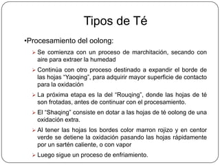 Tipos de TéTé Verde