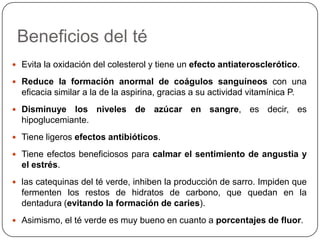 Se marchitan las hojas de 8 a 24 h
