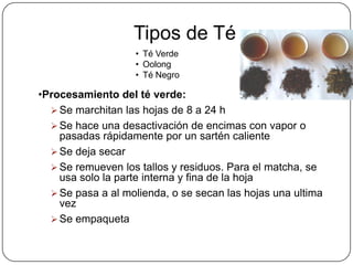 Distribución de la producciónEl té negro (el más consumido en Europa, en la India y en America del norte) representa casi 80% del consumo mundial.El té verde representa un poco menos del 18%.Los oolongs (producidos y consumidos principalmente en China y Japón), sólo representa aproximadamente el 2% del consumo mundial. 