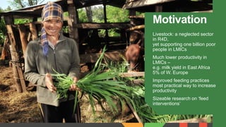 Feed interventions and livelihoods of small-scale livestock keepers: Learning from the review