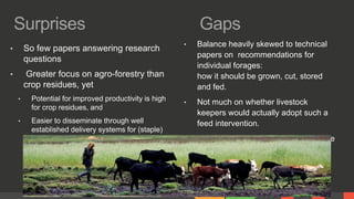Feed interventions and livelihoods of small-scale livestock keepers: Learning from the review