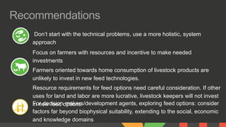 Feed interventions and livelihoods of small-scale livestock keepers: Learning from the review