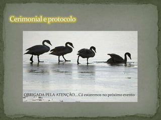 OBRIGADA PELA ATENÇÃO….Cá estaremos no próximo evento

 