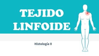 TEJIDO
LINFOIDE
Histología II
 