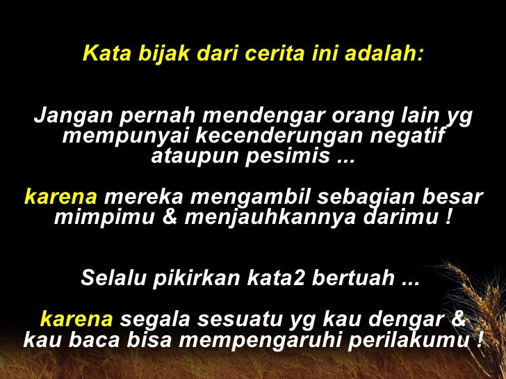 Cerita tentang Katak Kecil