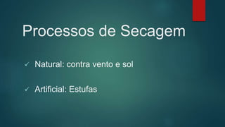 Processos de Secagem
 Natural: contra vento e sol
 Artificial: Estufas
 