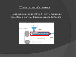 Técnica de extrusión con corte

 Consistencia de agua entre 20 – 25 %, la pasta de
consistencia suave es forzada a presión (extrusión)
 