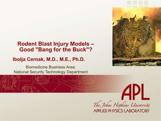 Rodent Blast Injury Models – Good "Bang for the Buck"? Ibolja Cernak, M.D., M.E., Ph.D. Biomedicine Business Area;  National Security Technology Department 