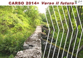 LAND Milano srl ©2016 
CARSO 2014+ Verso il futuro
 