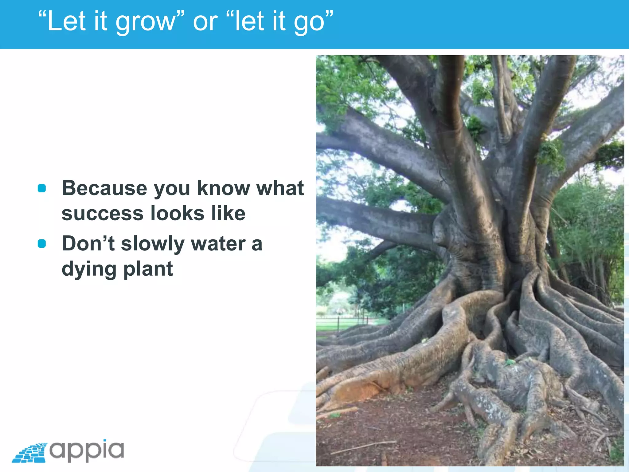 “Let it grow” or “let it go”
Because you know what
success looks like
Don’t slowly water a
dying plant
 