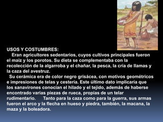 USOS Y COSTUMBRES:
   Eran agricultores sedentarios, cuyos cultivos principales fueron
el maíz y los porotos. Su dieta se complementaba con la
recolección de la algarroba y el chañar, la pesca, la cría de llamas y
la caza del avestruz.
 Su cerámica era de color negro grisácea, con motivos geométricos
e impresiones de telas y cestería. Este último dato implicaría que
los sanavirones conocían el hilado y el tejido, además de haberse
encontrado varias piezas de rueca, propias de un telar
rudimentario.     Tanto para la caza como para la guerra, sus armas
fueron el arco y la flecha en hueso y piedra, también, la macana, la
maza y la boleadora.
 