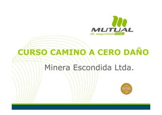 CURSO CAMINO A CERO DAÑO
    Minera Escondida Ltda.
 