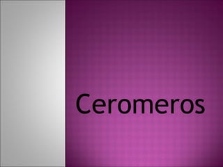Ceromeros
 