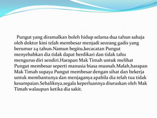 Pungut yang diramalkan boleh hidup selama dua tahun sahaja
oleh doktor kini telah membesar menjadi seorang gadis yang
berumur 24 tahun.Namun begitu,kecacatan Pungut
menyebabkan dia tidak dapat berdikari dan tidak tahu
mengurus diri sendiri.Harapan Mak Timah untuk melihat
Pungut membesar seperti manusia biasa musnah.Malah,harapan
Mak Timah supaya Pungut membesar dengan sihat dan bekerja
untuk membantunya dan menjaganya apabila dia telah tua tidak
kesampaian.Sebaliknya,segala keperluannya diuruskan oleh Mak
Timah walaupun ketika dia sakit.

 