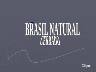 BRASIL NATURAL Clique CERRADO 