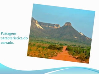 Paisagem
característica do
cerrado.
 