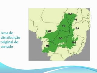 Área de
distribuição
original do
cerrado
 