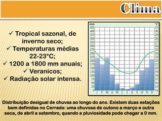 Cerrado | PPTX