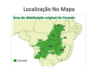 Localização No Mapa

 