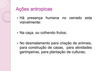 Ações antropicas
 Há presença humana no cerrado esta
visivelmente:
 Na caça, ou colhendo frutos;
 No desmatamento para criação de animais,
para construção de casas, para atividades
garimpeiras, para plantação de culturas;
 