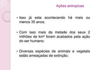  Isso já esta acontecendo há mais ou
menos 35 anos;
 Com isso mais da metade dos seus 2
milhões de km² foram acabados pela ação
do ser humano;
 Diversas espécies de animais e vegetais
estão ameaçadas de extinção;
Ações antropicas
 