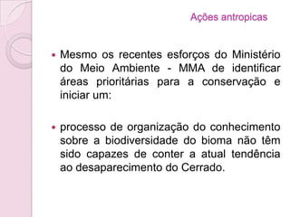 Ações antropicas
 Mesmo os recentes esforços do Ministério
do Meio Ambiente - MMA de identificar
áreas prioritárias para a conservação e
iniciar um:
 processo de organização do conhecimento
sobre a biodiversidade do bioma não têm
sido capazes de conter a atual tendência
ao desaparecimento do Cerrado.
 