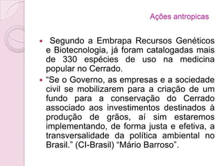  Segundo a Embrapa Recursos Genéticos
e Biotecnologia, já foram catalogadas mais
de 330 espécies de uso na medicina
popular no Cerrado.
 “Se o Governo, as empresas e a sociedade
civil se mobilizarem para a criação de um
fundo para a conservação do Cerrado
associado aos investimentos destinados à
produção de grãos, aí sim estaremos
implementando, de forma justa e efetiva, a
transversalidade da política ambiental no
Brasil.” (CI-Brasil) “Mário Barroso”.
Ações antropicas
 