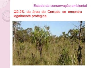 Estado da conservação ambiental
2,2% da área do Cerrado se encontra
legalmente protegida.
 