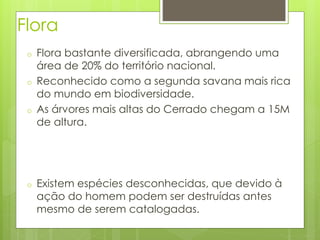Flora 
o Flora bastante diversificada, abrangendo uma 
área de 20% do território nacional. 
o Reconhecido como a segunda savana mais rica 
do mundo em biodiversidade. 
o As árvores mais altas do Cerrado chegam a 15M 
de altura. 
o Existem espécies desconhecidas, que devido à 
ação do homem podem ser destruídas antes 
mesmo de serem catalogadas. 
 