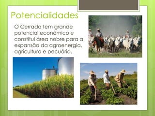 Potencialidades 
O Cerrado tem grande 
potencial econômico e 
constitui área nobre para a 
expansão da agroenergia, 
agricultura e pecuária. 
 
