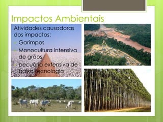 Impactos Ambientais 
Atividades causadoras 
dos impactos: 
 Garimpos 
 Monocultura intensiva 
de grãos 
 pecuária extensiva de 
baixa tecnologia 
 