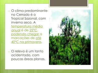 o O clima predominante 
no Cerrado é o 
Tropical Sazonal, com 
inverno seco. A 
temperatura média 
anual é de 25°C, 
podendo chegar a 
marcações de até 
40°C na primavera. 
o O relevo é um tanto 
acidentado, com 
poucas áreas planas. 
 