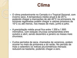 Bioma: Cerrado | PPTX