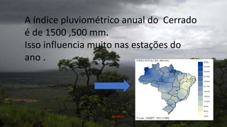 A índice pluviométrico anual do Cerrado
é de 1500 ,500 mm.
Isso influencia muito nas estações do
ano .
cerrado
 