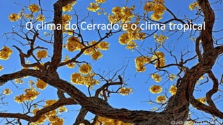 O clima do Cerrado é o clima tropical
.
 