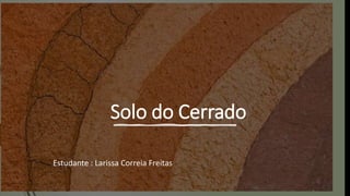 Solo do Cerrado
Estudante : Larissa Correia Freitas
 