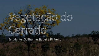 Estudante :Guilherme Siqueira Pinheiro
 