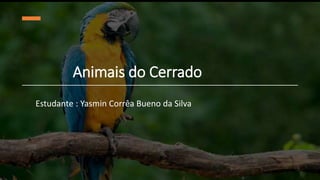 Animais do Cerrado
Estudante : Yasmin Corrêa Bueno da Silva
 