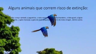 Alguns animais que correm risco de extinção:
São: a onça –pintada ,a jaguatirica , o tatu-canastra , o tamanduá-bandeira , o lobo-guará ,a águia-
cinzenta , o gato-maracajá ,o gato-do-mato pequeno ,o cachorro-do-mato-vinagre , dentre outros.
 