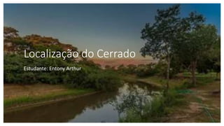 Localização do Cerrado
Estudante: Entony Arthur
 